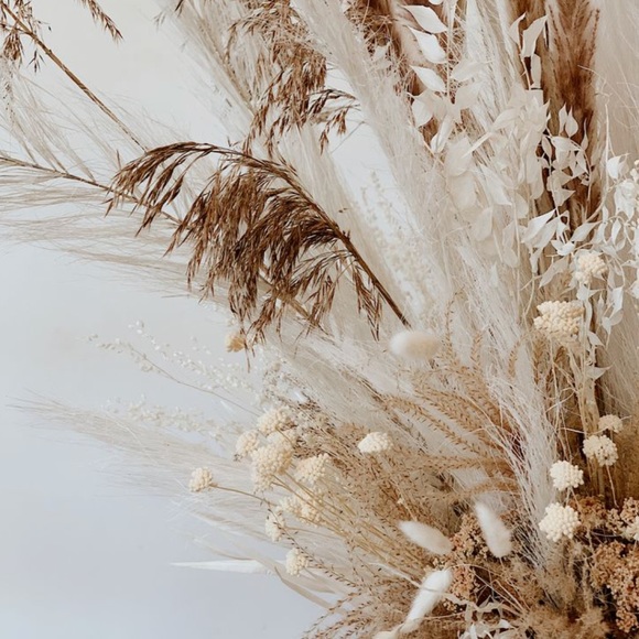 Meet your Posher, Gabby - Picture 4 of 10